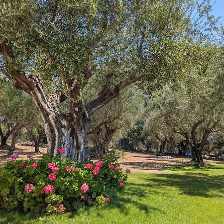 Bungalows With Private Pools "Tales Of The Soul - Της Ψυχής Τα Παραμύθια" Anemochori Eksteriør billede