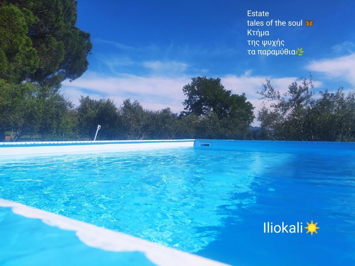 Bungalows With Private Pools "Tales Of The Soul - Της Ψυχής Τα Παραμύθια" Anemochori Eksteriør billede