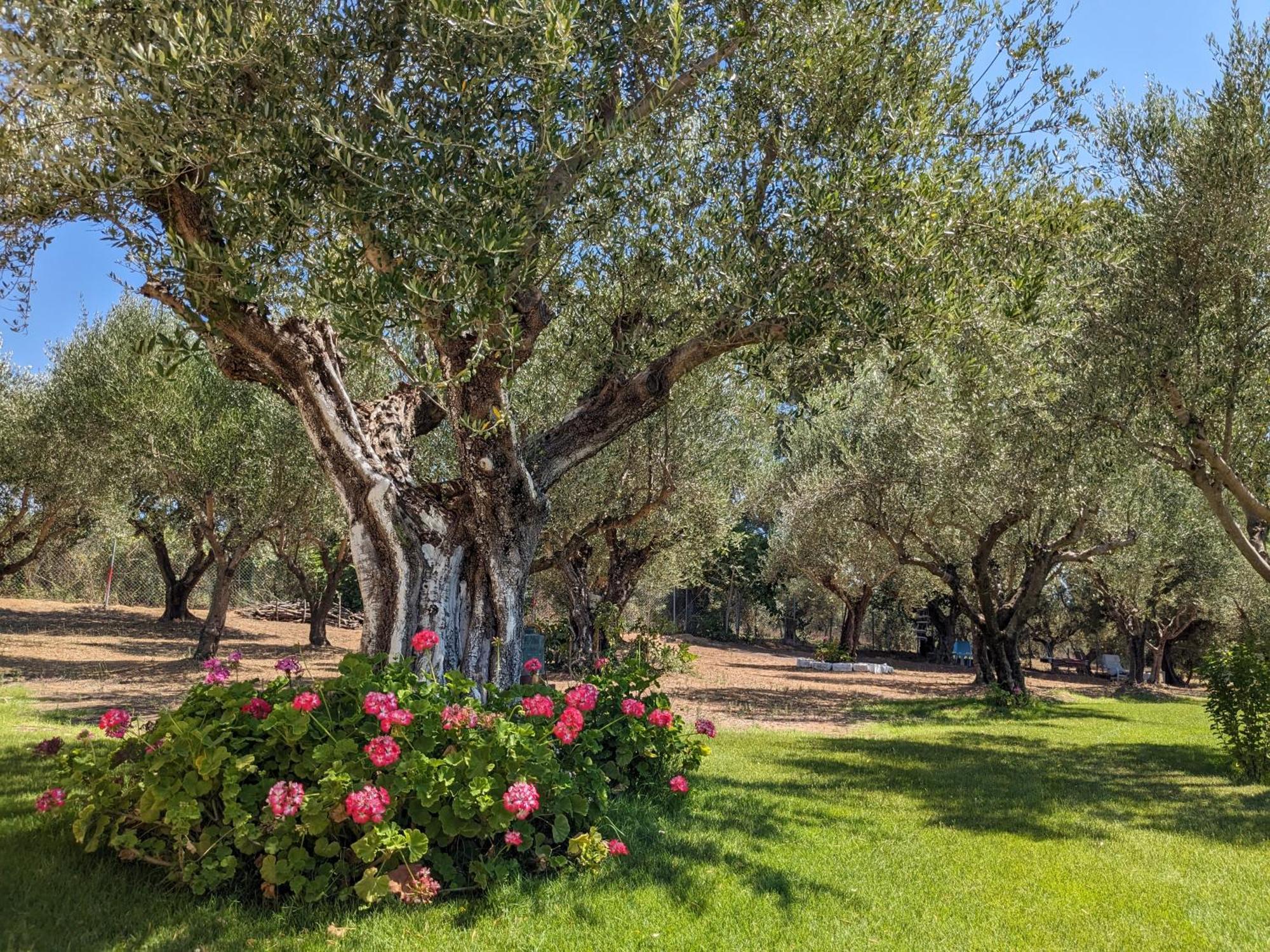 Bungalows With Private Pools "Tales Of The Soul - Της Ψυχής Τα Παραμύθια" Anemochori Eksteriør billede